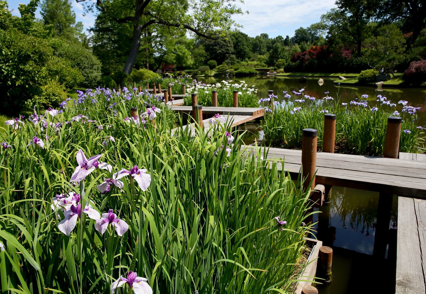 Staycation — Missouri Botanical Garden